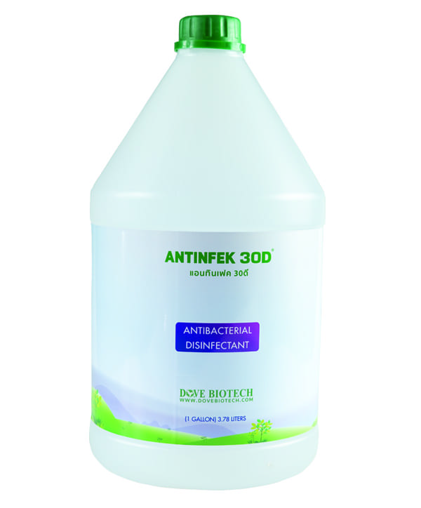 Antinfek 30D Gallon