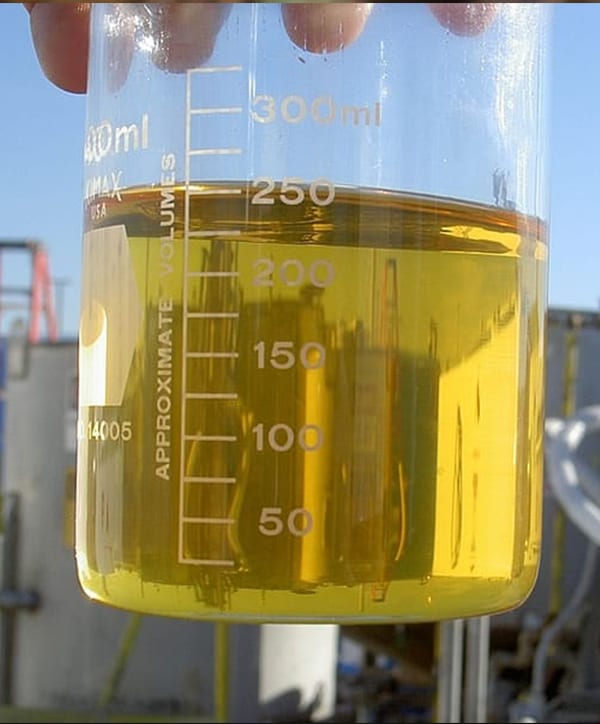 Biodiesel sample